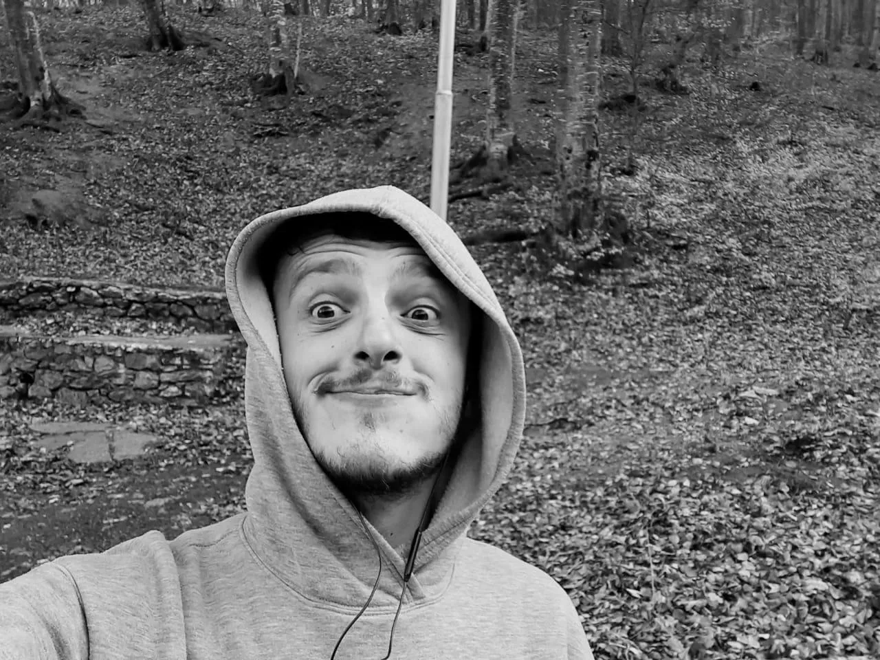 Happiness is a normal occurence in life. posted by hollowreader