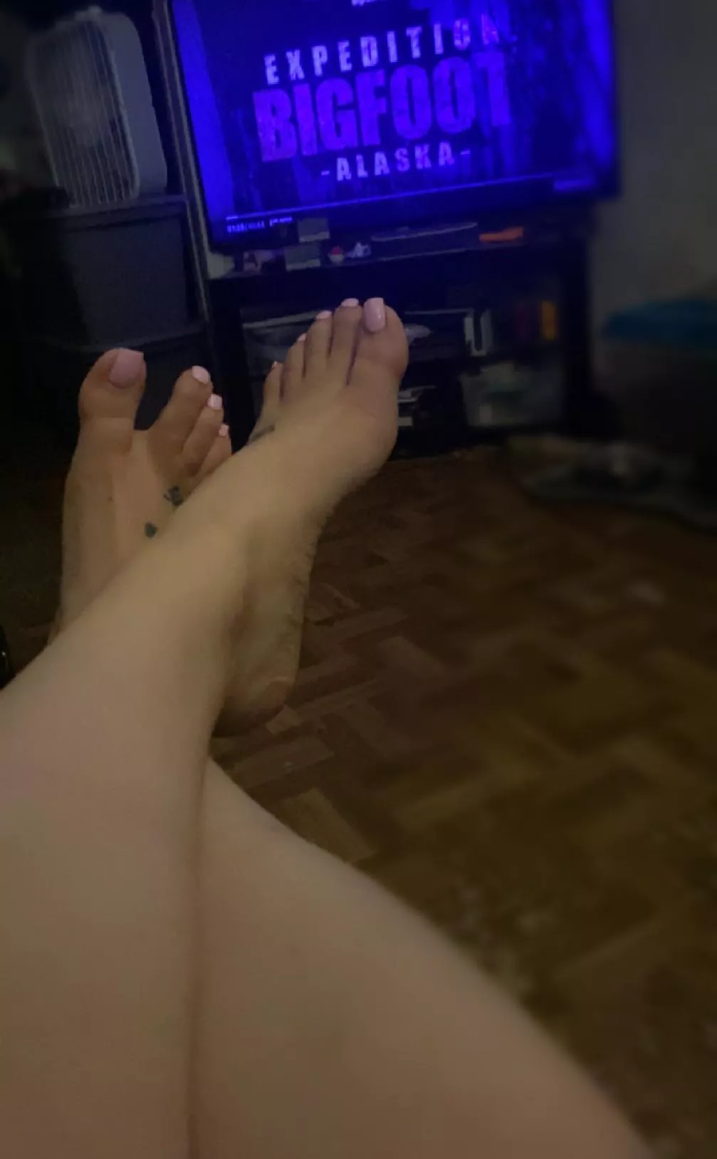 How about you take care of them while I watch people try and find the hide and seek champion 🏆🤪 posted by Charming_Amphibian29