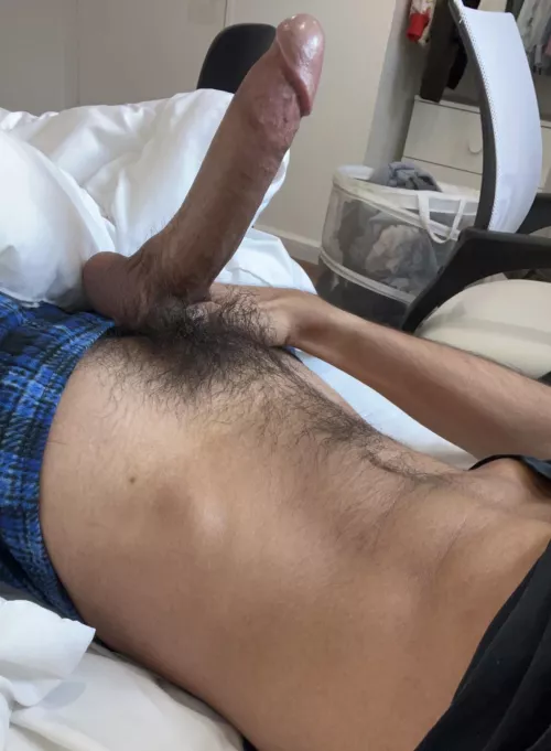 My favorite Pokemon type is dragon. Can you tell? by gamerxck