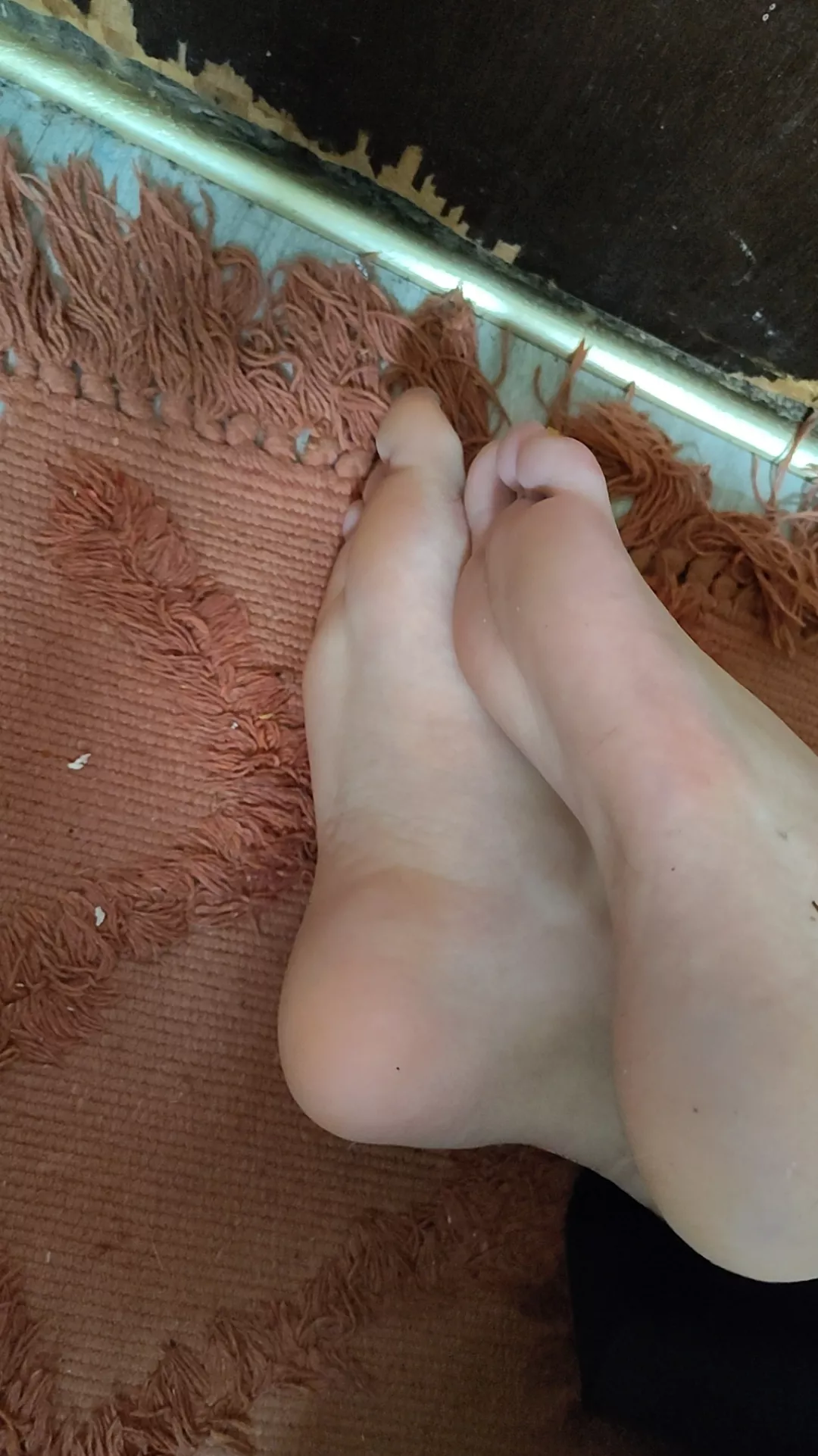 My feet haven't been worshipped in forever  posted by paintdrink