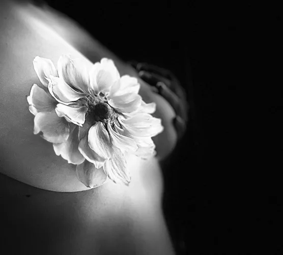 Can’t stop me blossoming… by Lonely_Rabbit_Audio