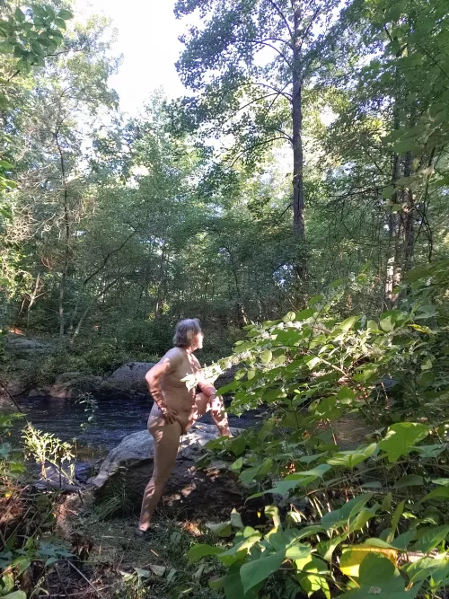 Forest sunrise by Lurking1980