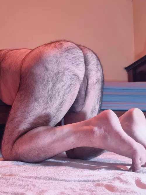 My Aussie bum 😉 by throatholeboi