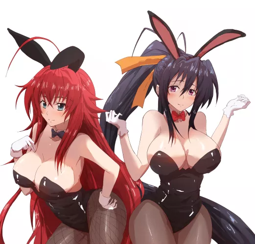 Rias and Akeno Bunny girl ( Art by @artntai on X)
 by SeductiveStrokes211