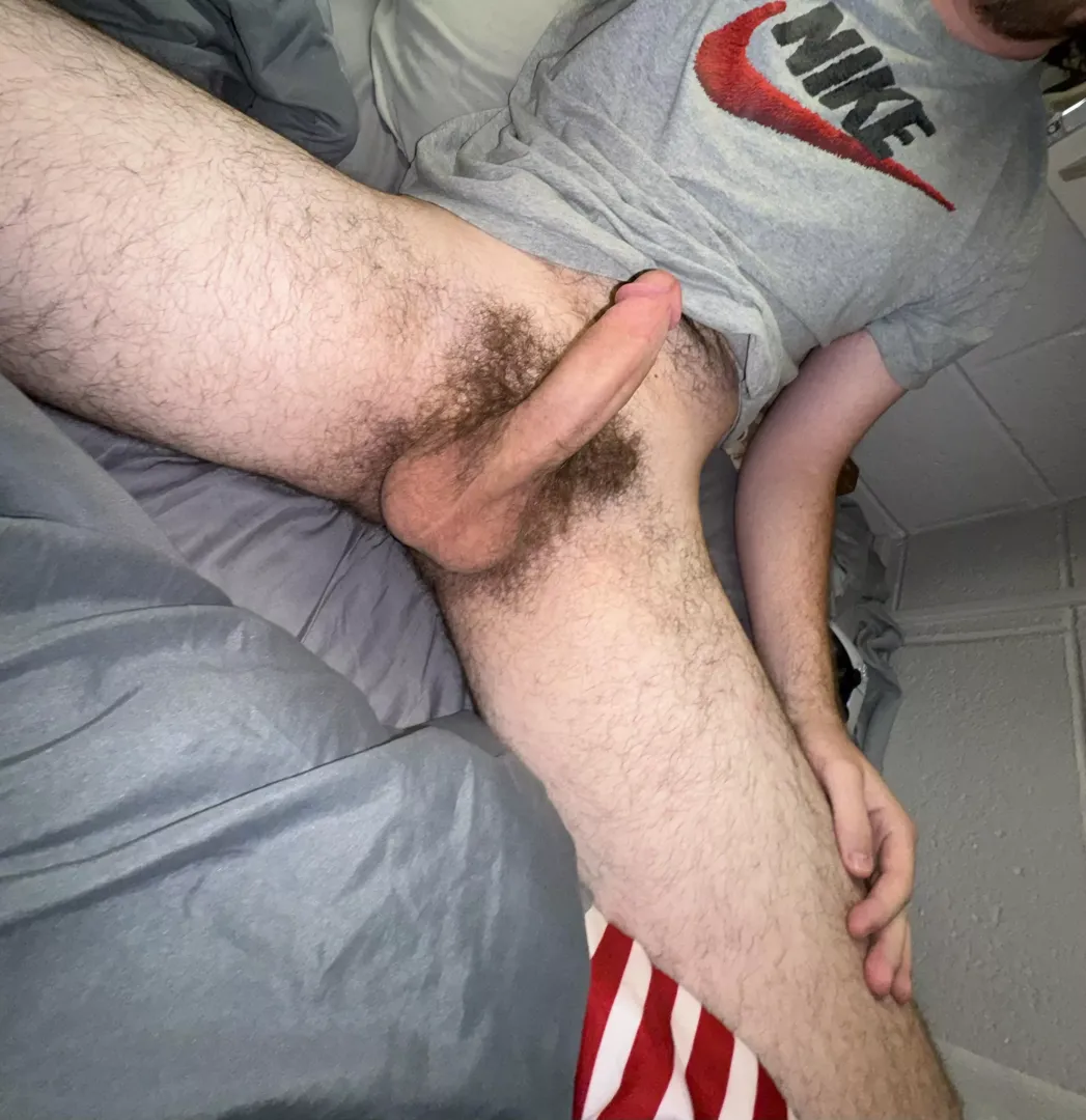 Someone handle this thick hairy cock posted by thebigone995