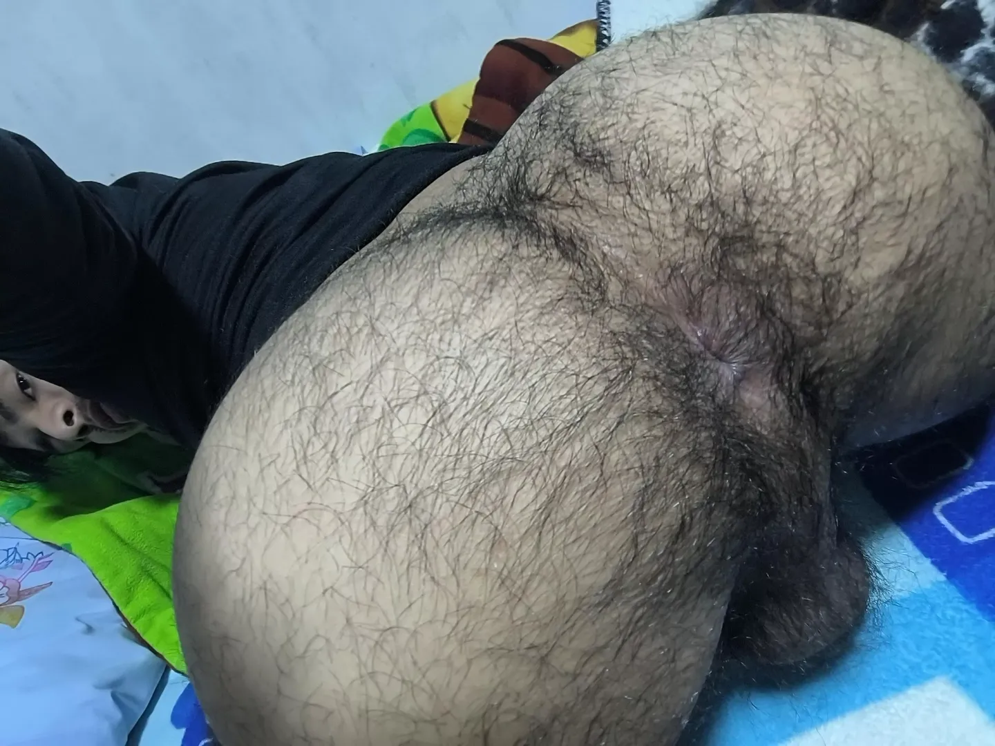 Would you eat my hairy boyhole? posted by daedalus19112