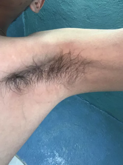 [19] large Mexican bush🇲🇽🔥🤤😈 by kiriii_ku