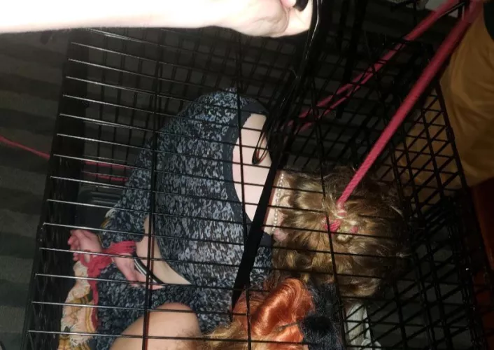 I can’t wait for my new (pink) cage to arrive! It’s my happy place.  by Square-Maximum-3222