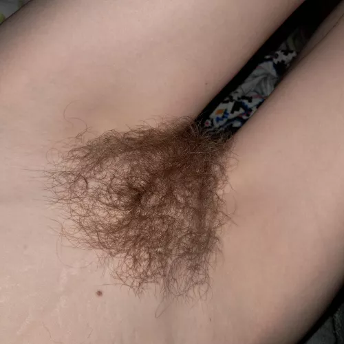 Let me sit this hairy pussy on your face and then on your dick by Little_Tomatillo_638