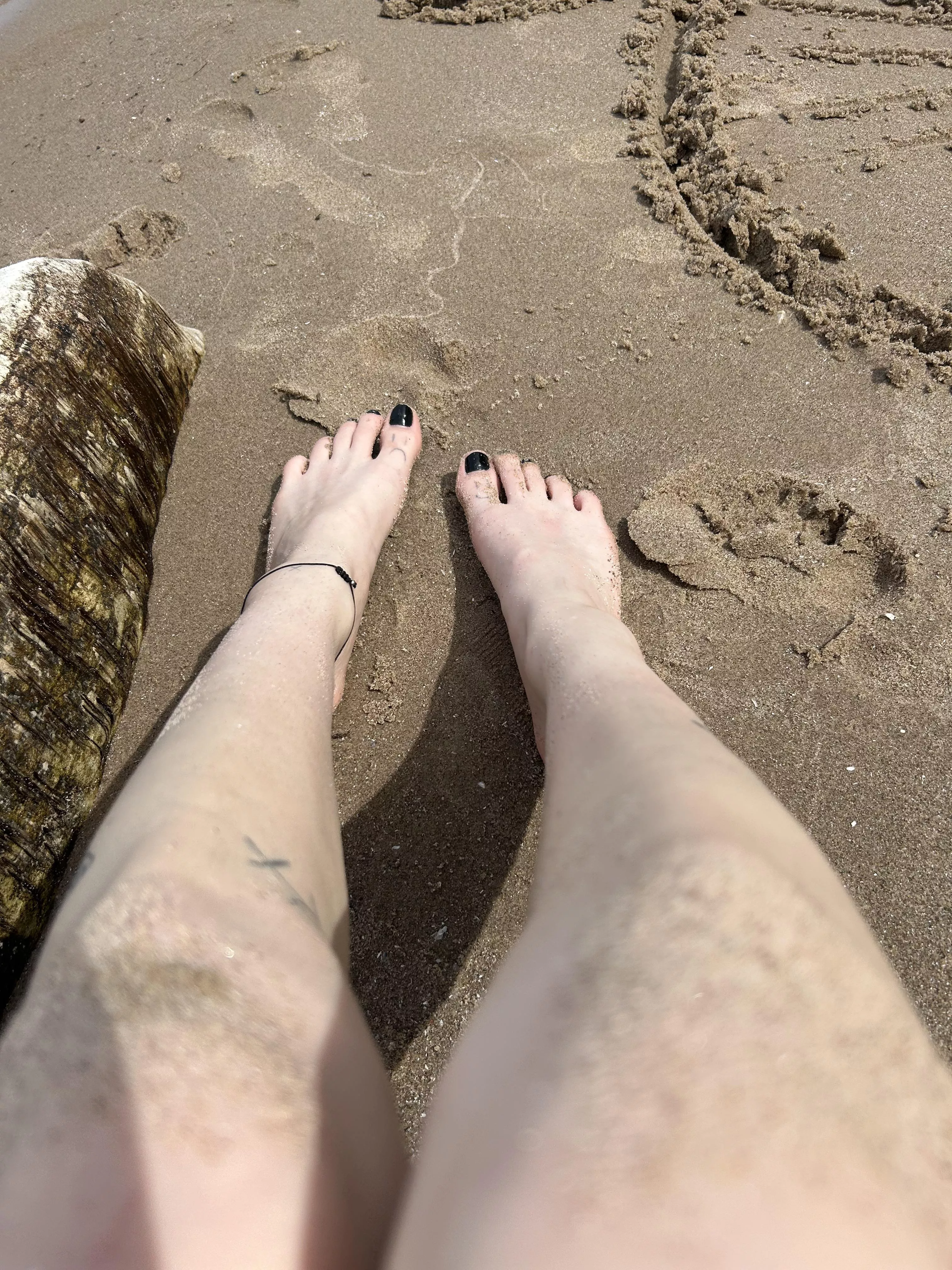 Worship me posted by calypsoskitty