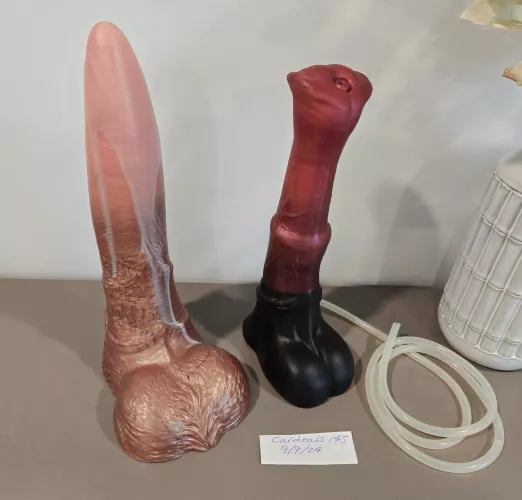 WTS [USA/CA] Bad Dragon M/M Chance Flared and M/M Sveinn by cardeals145