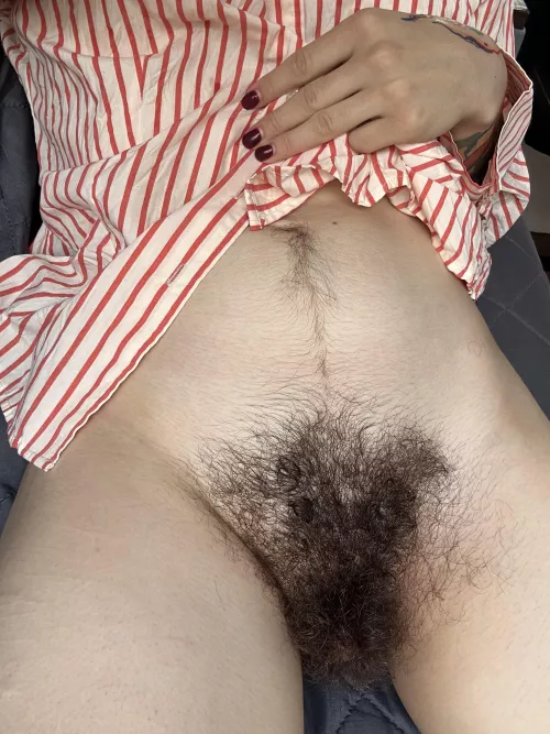 A sneak peek of what's waiting for you behind the curtain by Creative-Strength-17