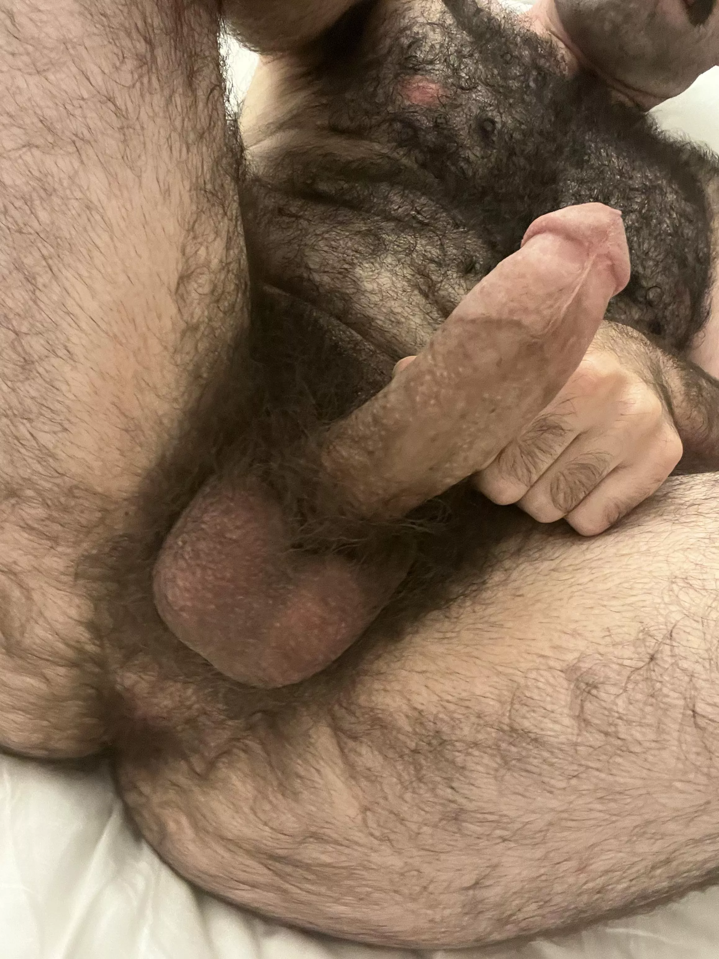 Furry as hell and open for visitors posted by throwaway_12791279