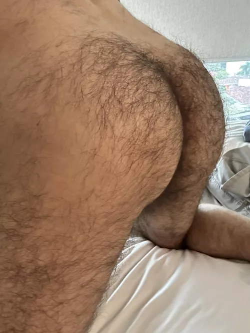 Hairy gym ass anyone?  by benfar72