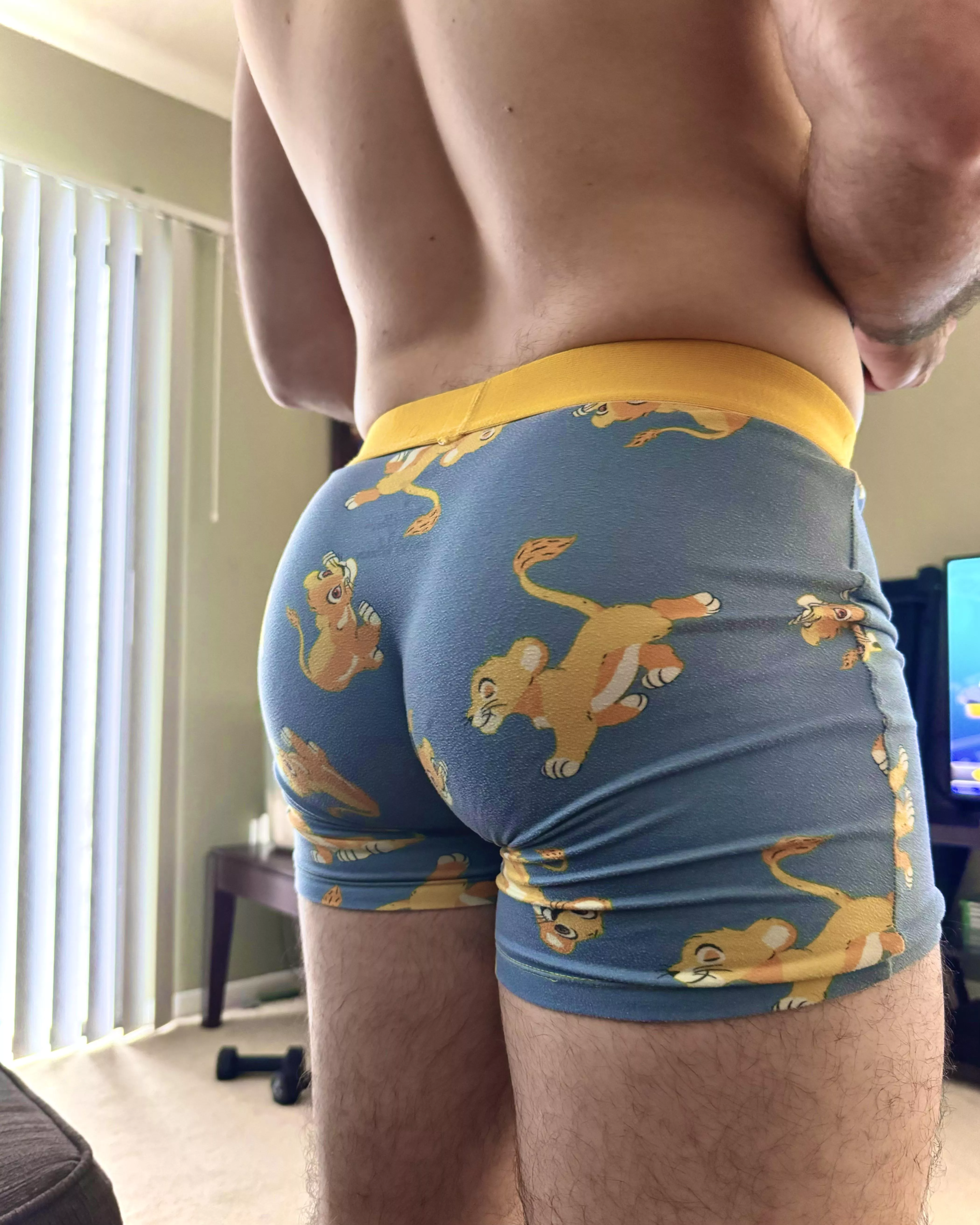 Hakuna matata  posted by msitsong