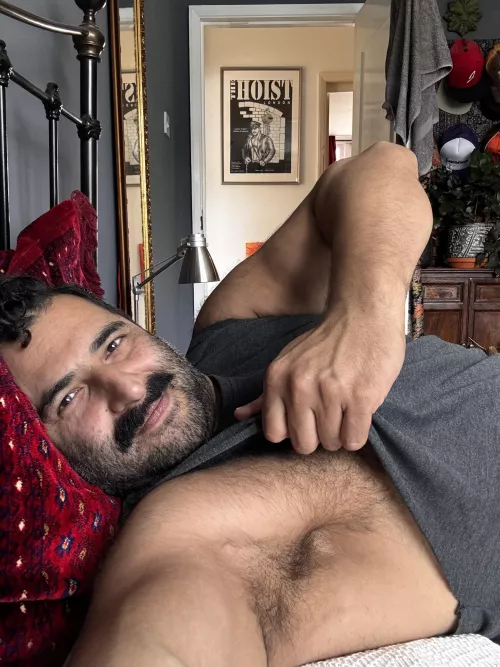 <insert face>  by jamthebigbear