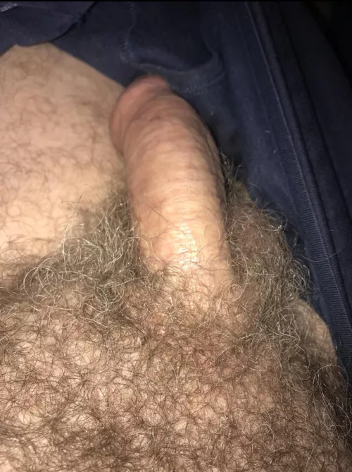 Morning musk by jock-dad