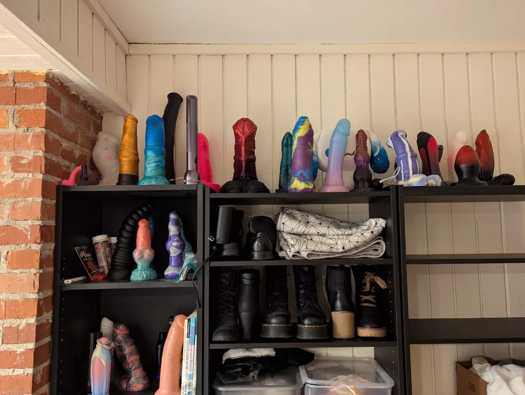 My collection (I need more)  posted by Sleepylilfawn