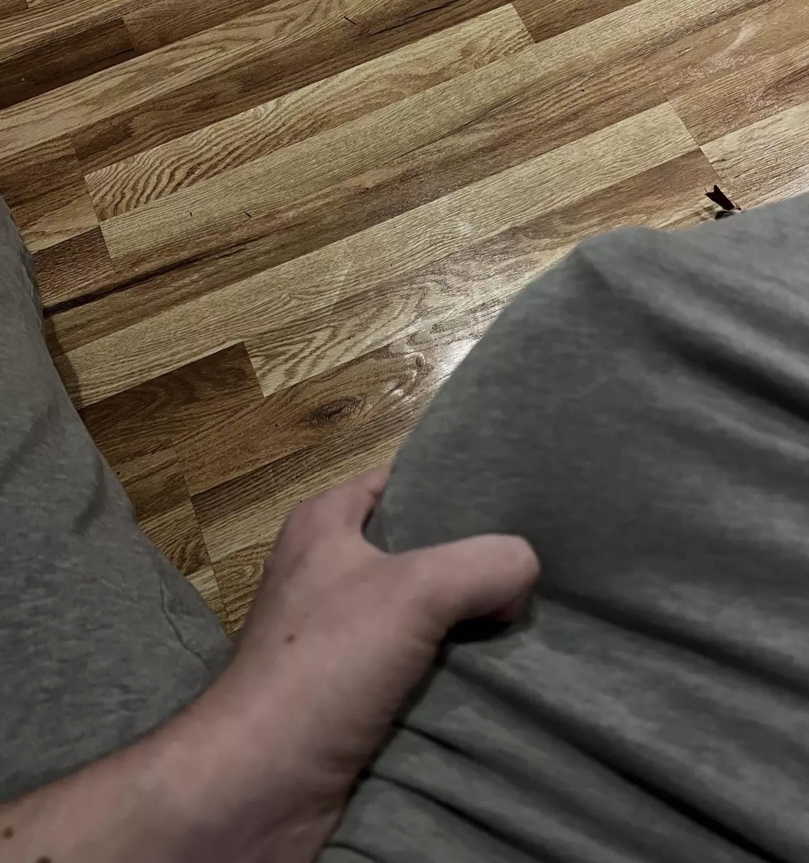 These sweats are paper thin posted by TommyPhucksalot