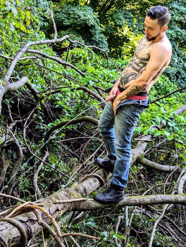 Woodland creature posted by RamWylder