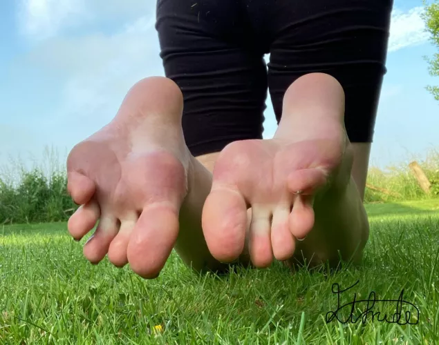 Would you look twice? by Elfrida77