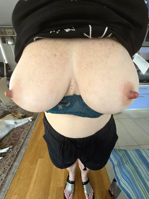 Biggies by plutop669