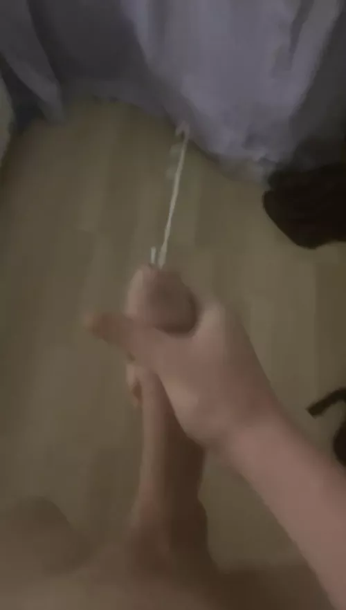 i leave my load everywhere by dan-the-big-man