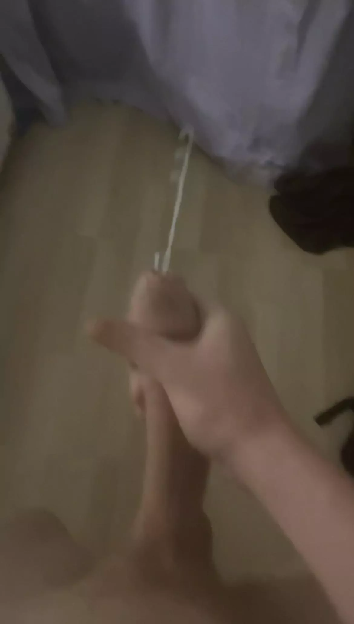 i leave my load everywhere posted by dan-the-big-man