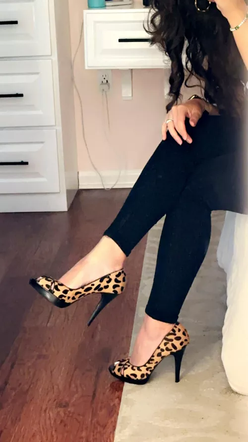 Rawr 🐆  by LexGoEveryday