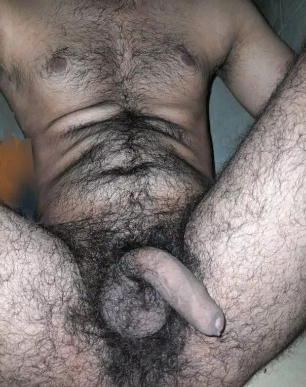 Very dark black indian bush or forest you can say  posted by hairybottom_guy