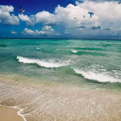 Waking up in the morning with this view is just a perfect way to start a day.  by AdditionalRecord7579