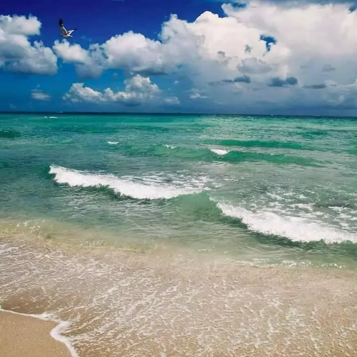 Waking up in the morning with this view is just a perfect way to start a day.  posted by AdditionalRecord7579