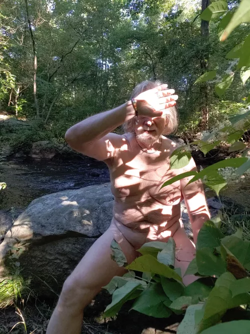 Bright morning sun by Lurking1980