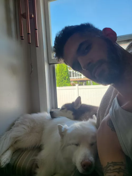 My favorite boys keeping me company while I work by Cowzruleme