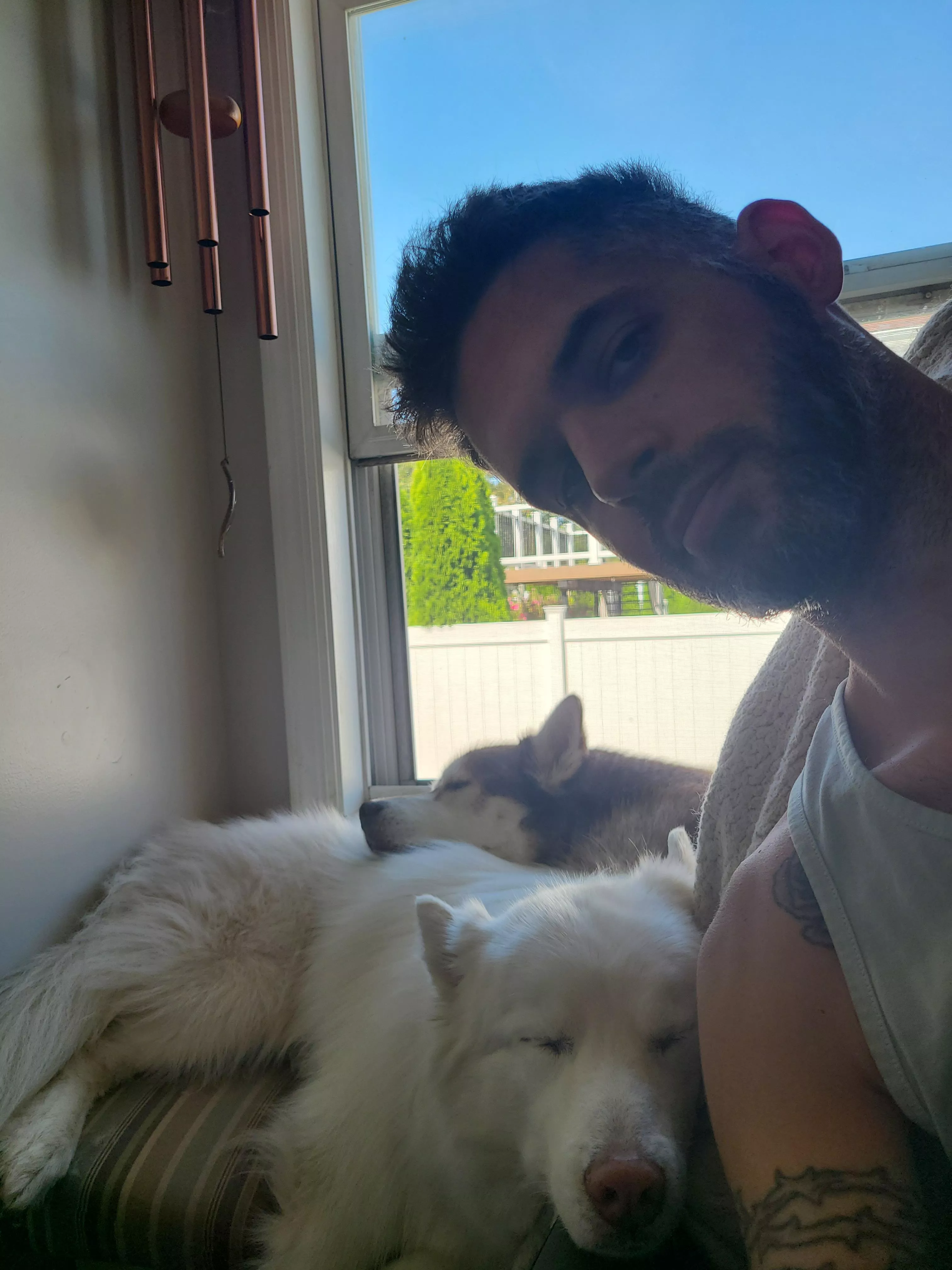 My favorite boys keeping me company while I work posted by Cowzruleme