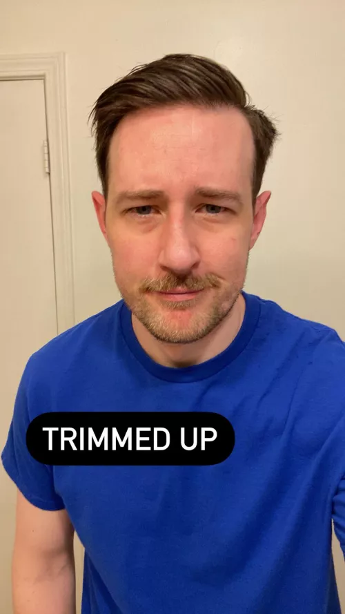 My lil’ emotional support mustache. 🥸 by Tat246squared