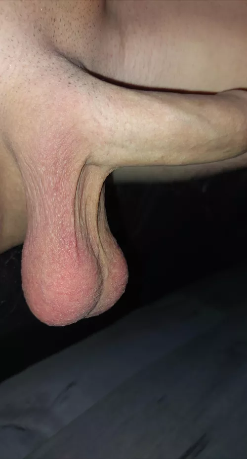 Saggy balls[28] by notmewhyyouask