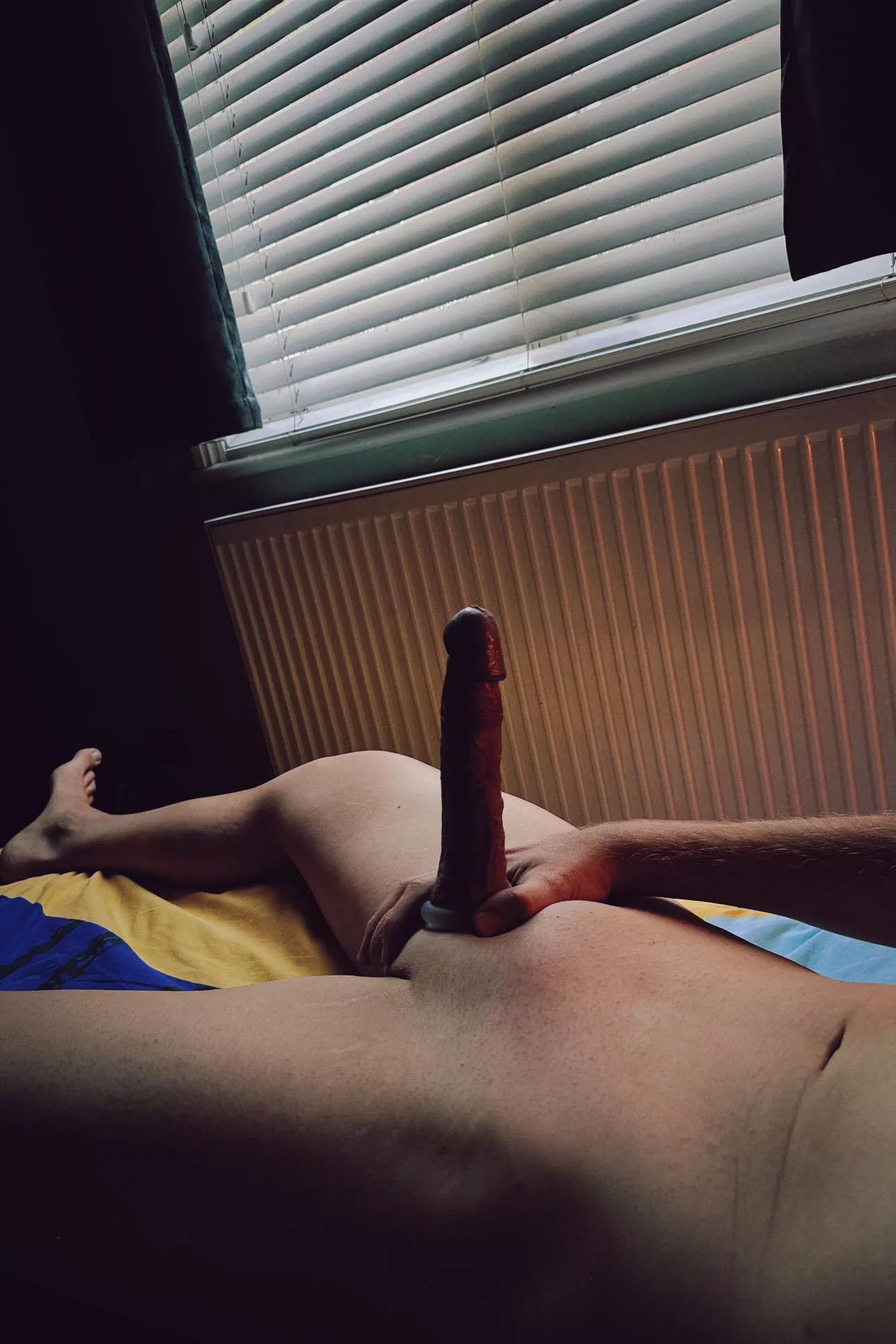 This is what you wake up to … (32) posted by th3h0rnycyclist