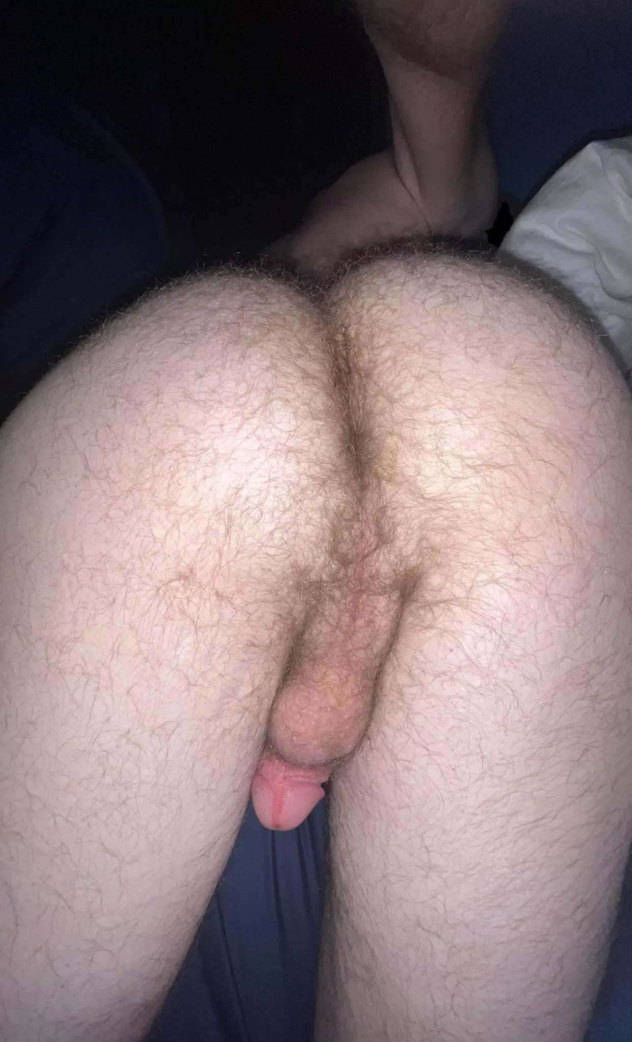 You need hairy ass in your face 😏 posted by FartsTX