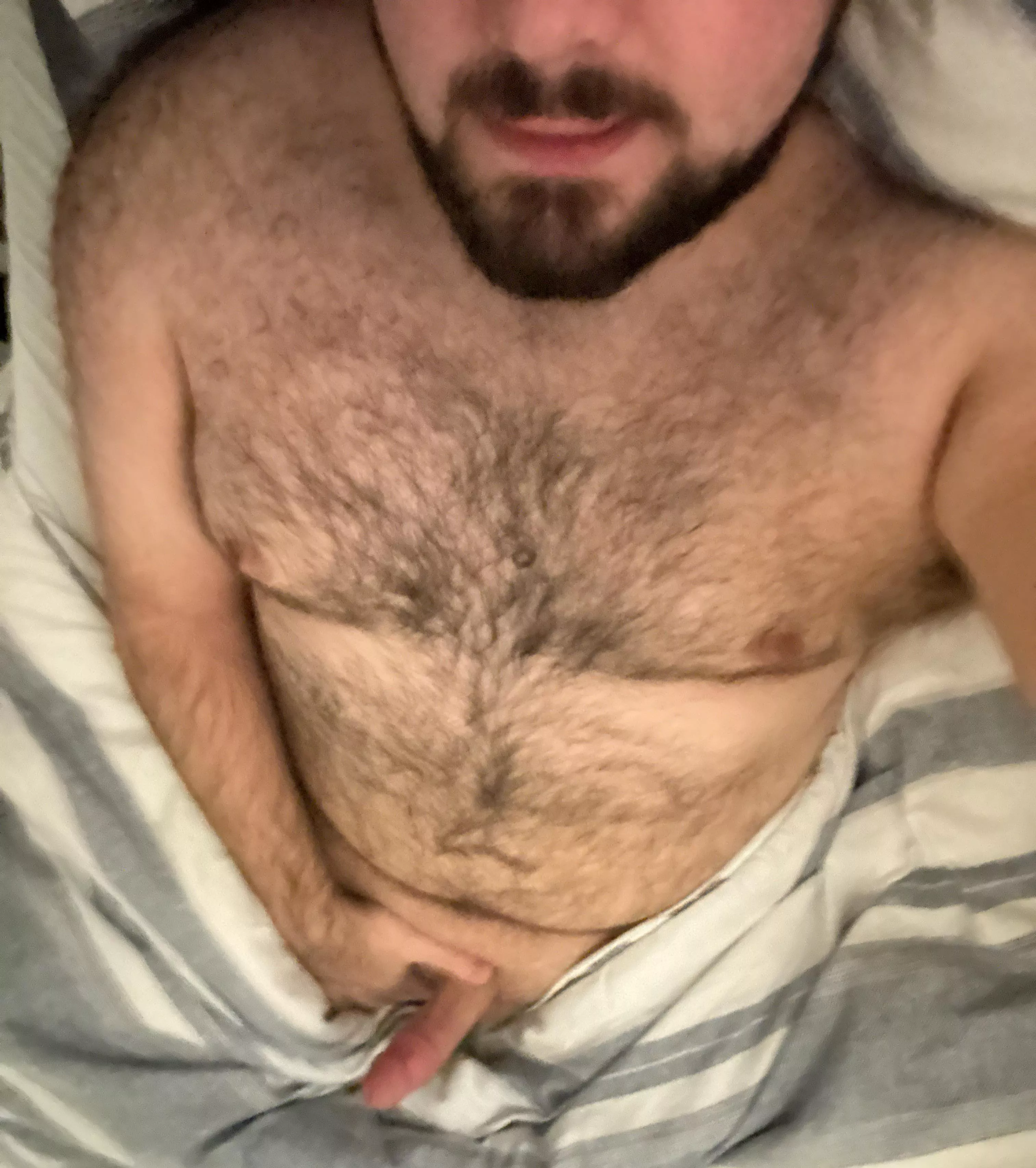 21 college cub, always looking for jerk buds posted by superlucky1006