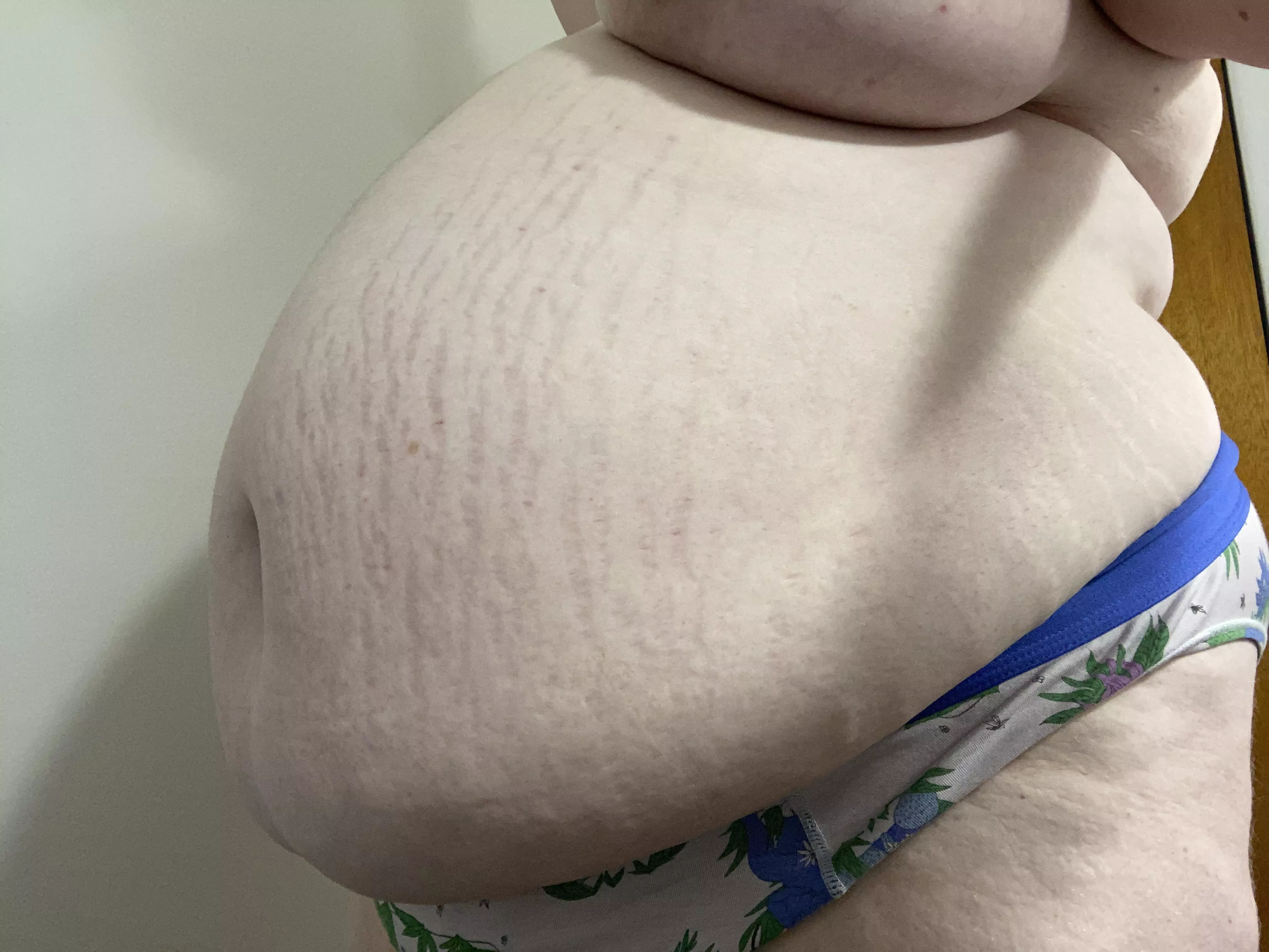 Belly is so full that it’s barely hanging! posted by mgx-001