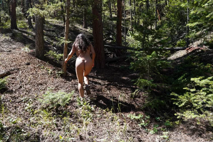 catch me while you can  by lainedelic