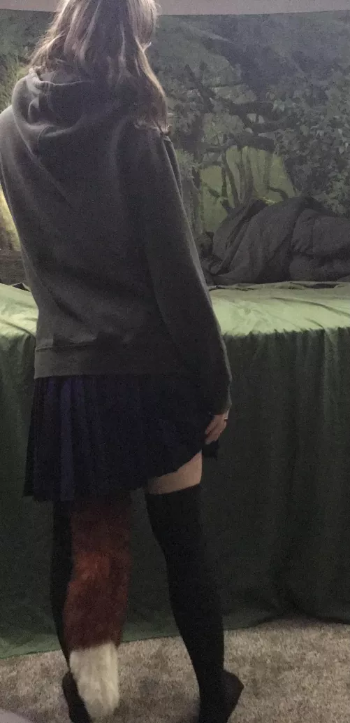 Do you let pets wear clothes? by August-144