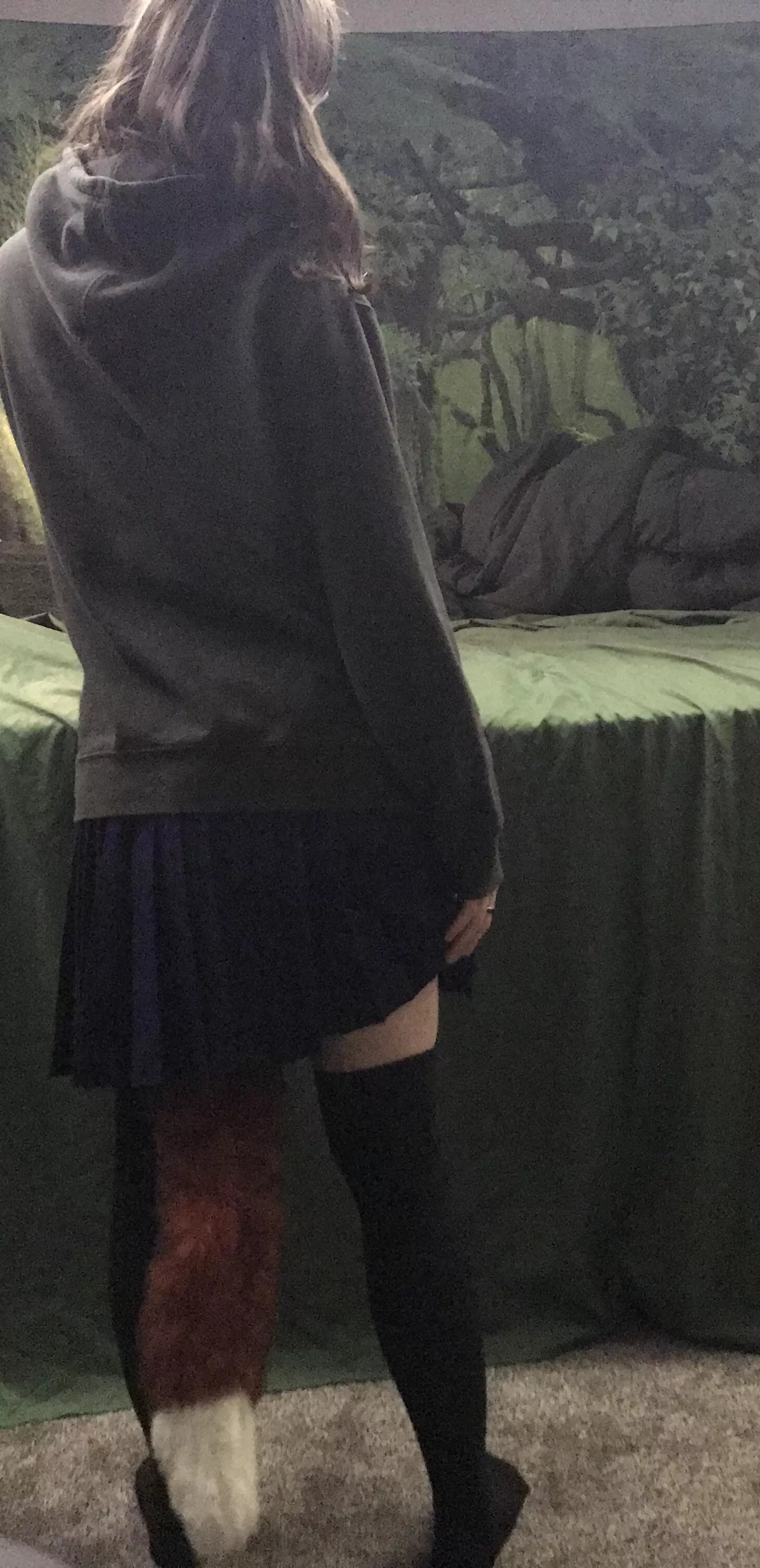 Do you let pets wear clothes? posted by August-144