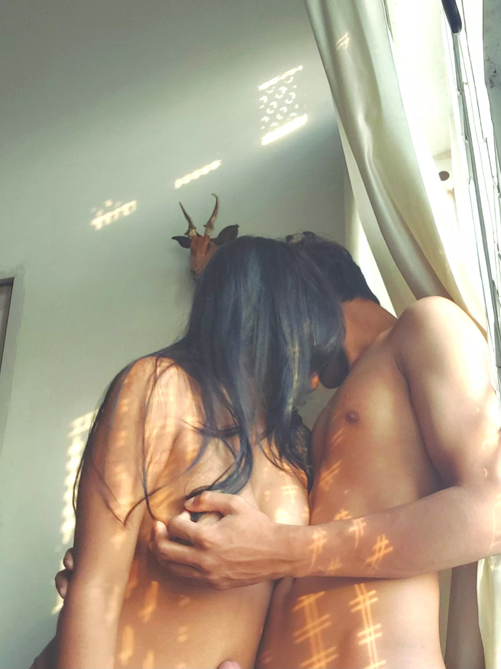 I love the patterns the sunlight shadows when it hits our windows 😍 posted by Beneficial-Two-7147