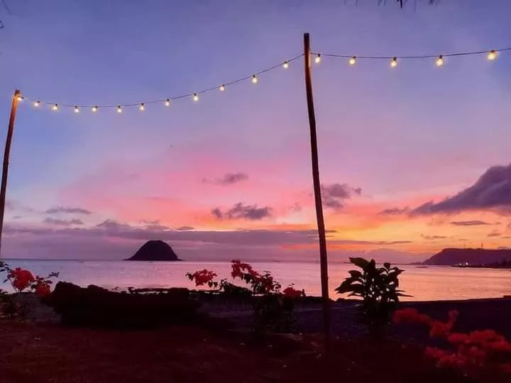 Just enjoying today's view posted by Chemical-Zombie3159