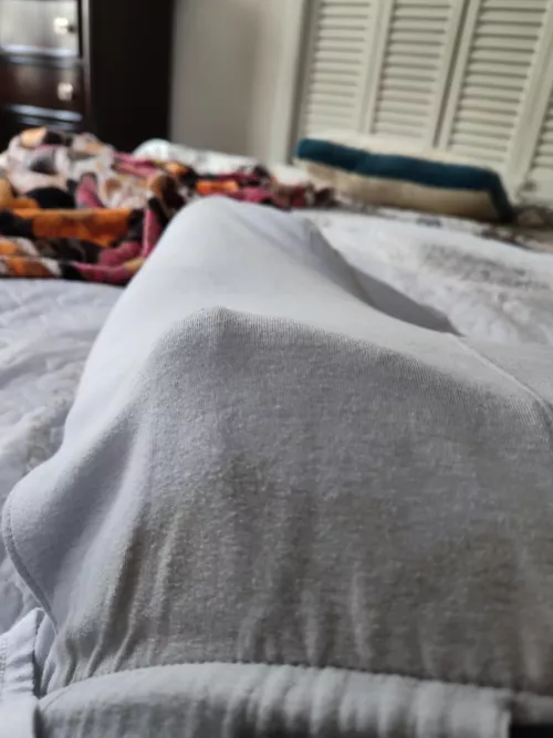 A little morning wood by ymyppsoft