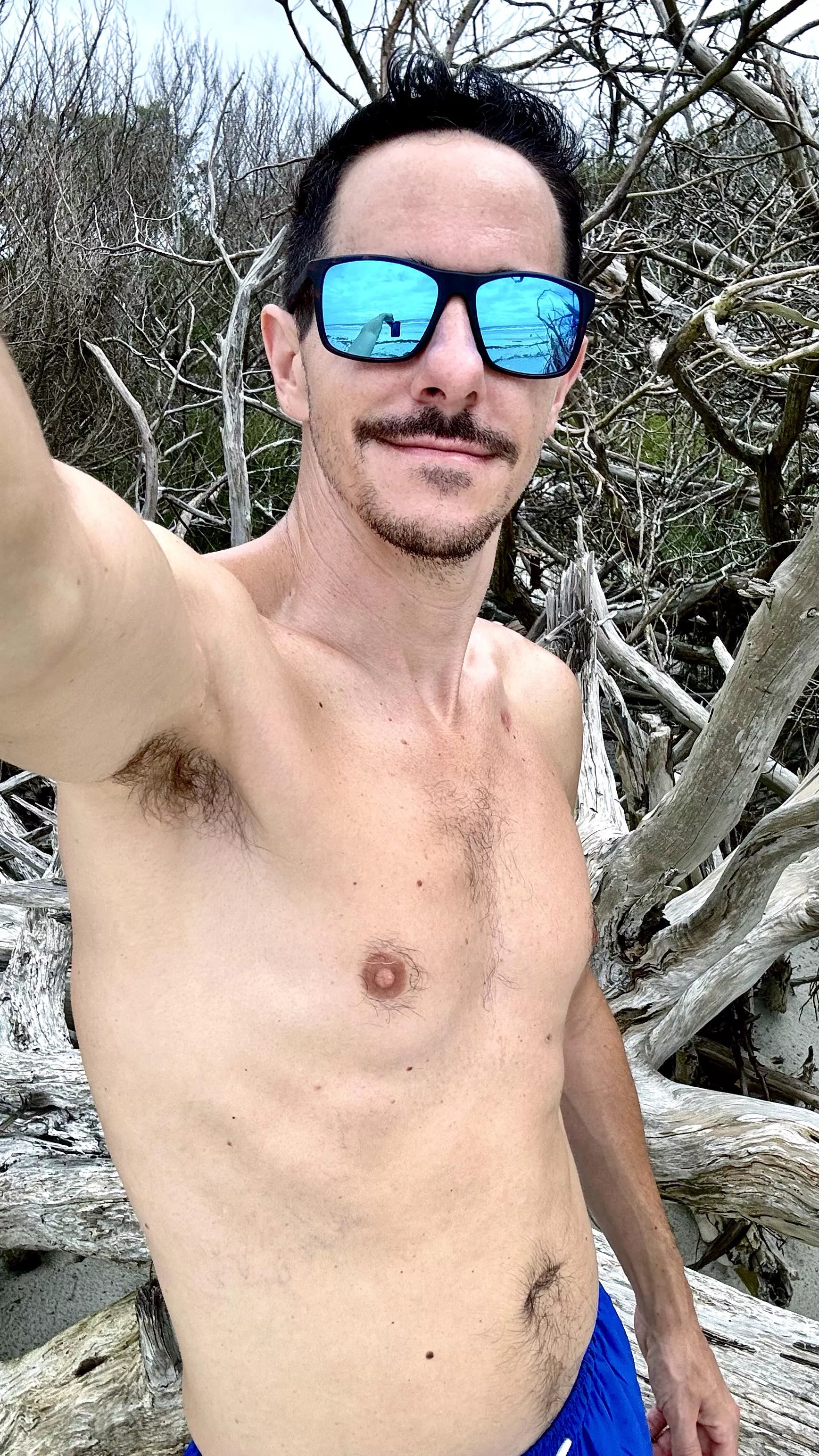 Explored the driftwood at the beach today. posted by rhh1977