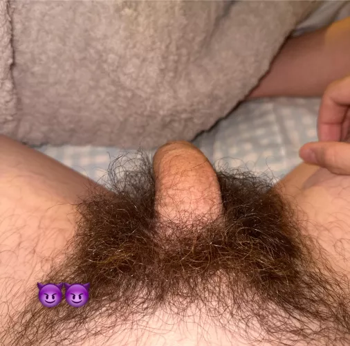 Guys Keep Telling Me To Shave..What Do Think? by hairycock679