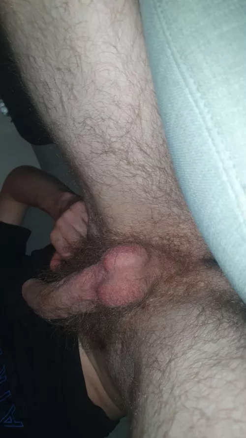 My best friend sucked my hairy cock outside by Separate_Fly6315